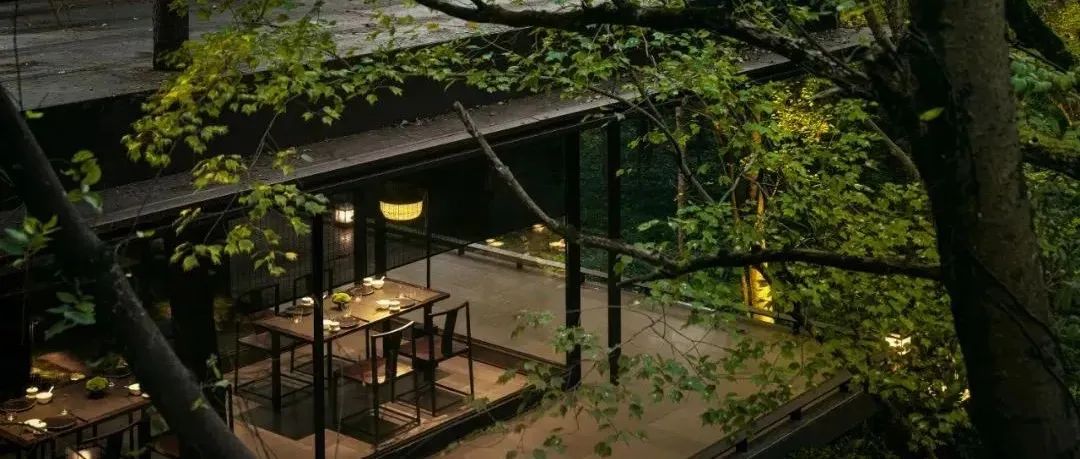 向山而生、自然而然 | 紫金山院