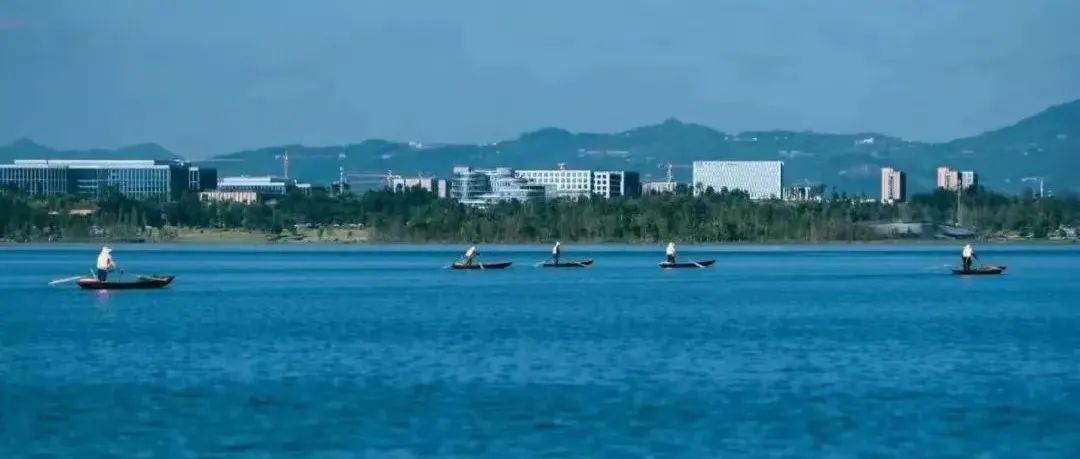 这周末，一定要来兴隆湖吹吹“海风”