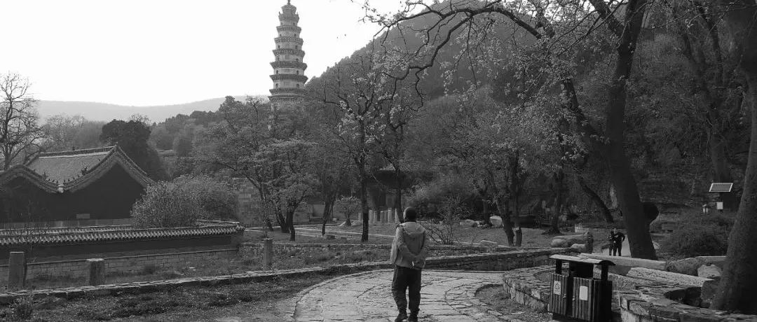 了尘的书画，是一帧中国文人的模样 | 大米艺术