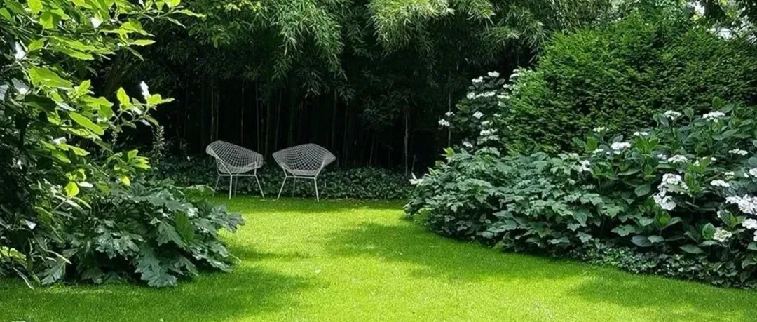为什么打造属于自己的花园？艺锋庭院设计系统训练【长期课】仅剩8个名额！