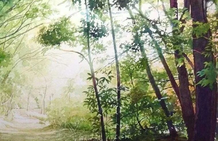 浮光掠影的美感 | 日本画家横冈拓美写实风景水彩画