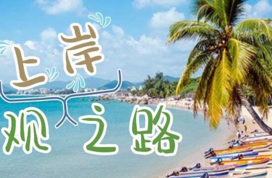 别人在海南度假，我想在海南 “上岸” ！2023年海南省公务员招考给了机会啊~