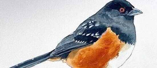 加拿大画家Ian de Hoog水彩作品
