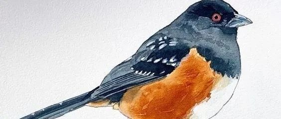 加拿大画家Ian de Hoog水彩作品