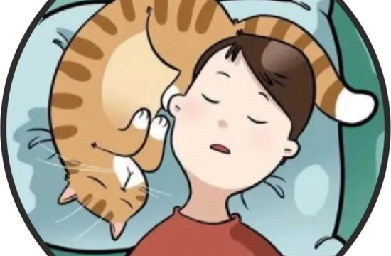 漫画丨这位艺术家用30部漫画，搞笑的画风描绘猫主人生活