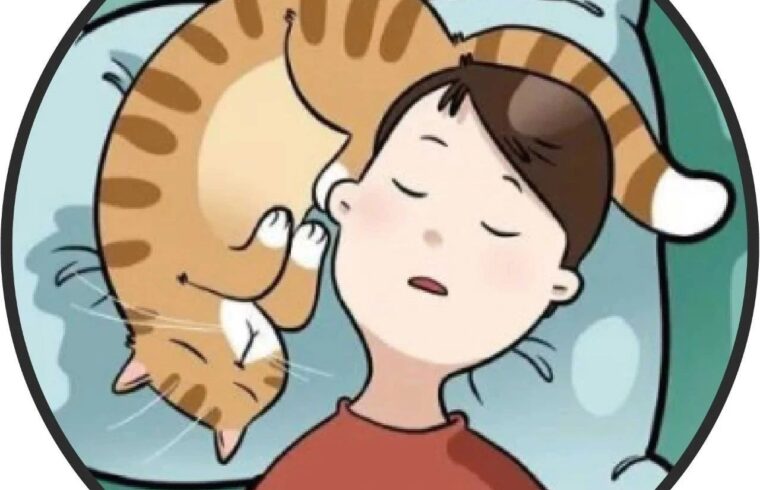 漫画丨这位艺术家用30部漫画，搞笑的画风描绘猫主人生活