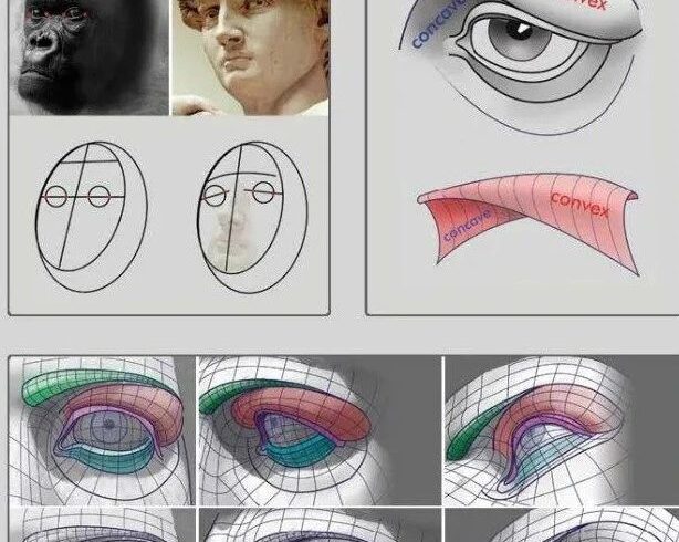 插画教程｜掌握这些眼睛结构，画不好眼睛，我把手寄过去！