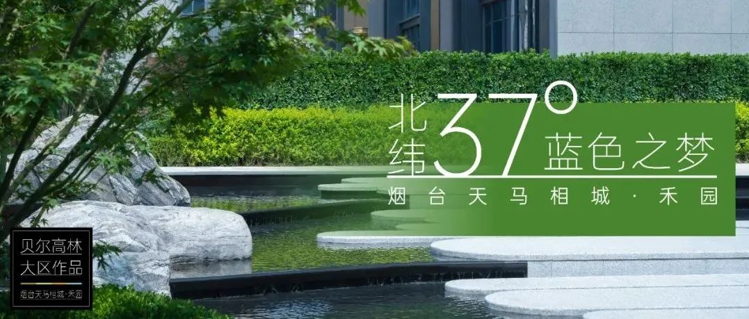 BELT COLLINS | 北纬37°蓝色之梦 烟台天马相城 · 禾园