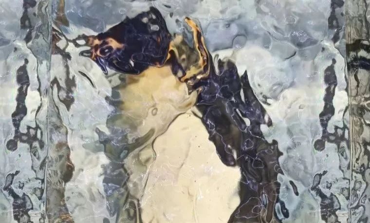 优秀设计师推送｜CHAPTER 61｜沈兴权 盐城工学院