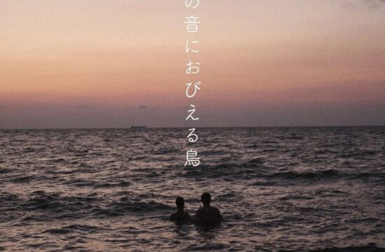 弓の音におびえる鳥 | 周星光 写真展