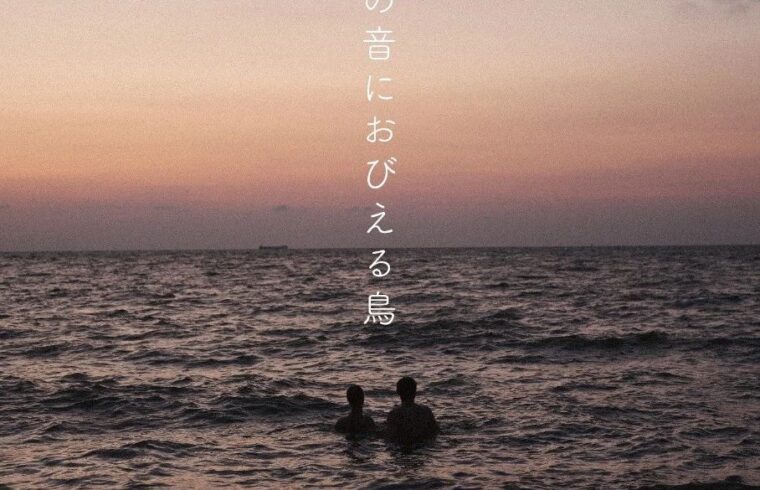 弓の音におびえる鳥 | 周星光 写真展