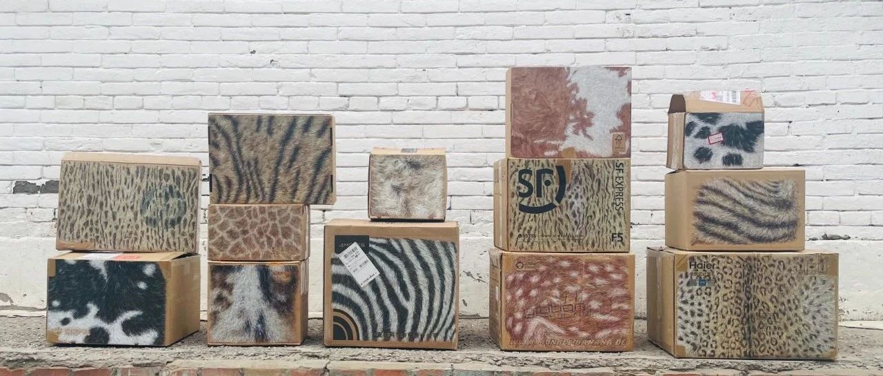 徐江跃：你的艺术与你的生活有关系吗？