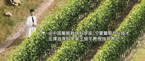详情页敢这么做，我直呼NB！！！