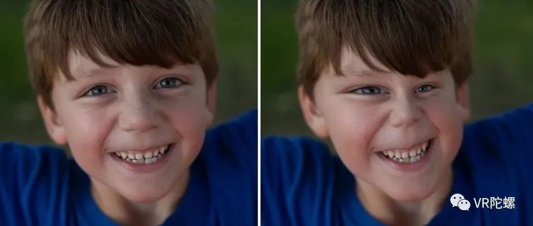 翠鸟视觉在视力障碍辅助视觉方向取得突破性科技进展