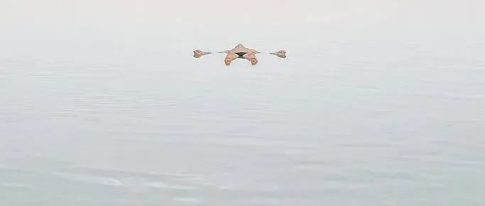 以色列死海风光