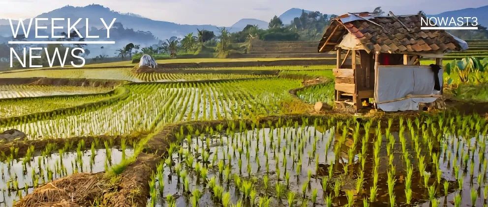 WEEKLY NEWS｜旅游与农业相遇，会擦出怎样的火花？
