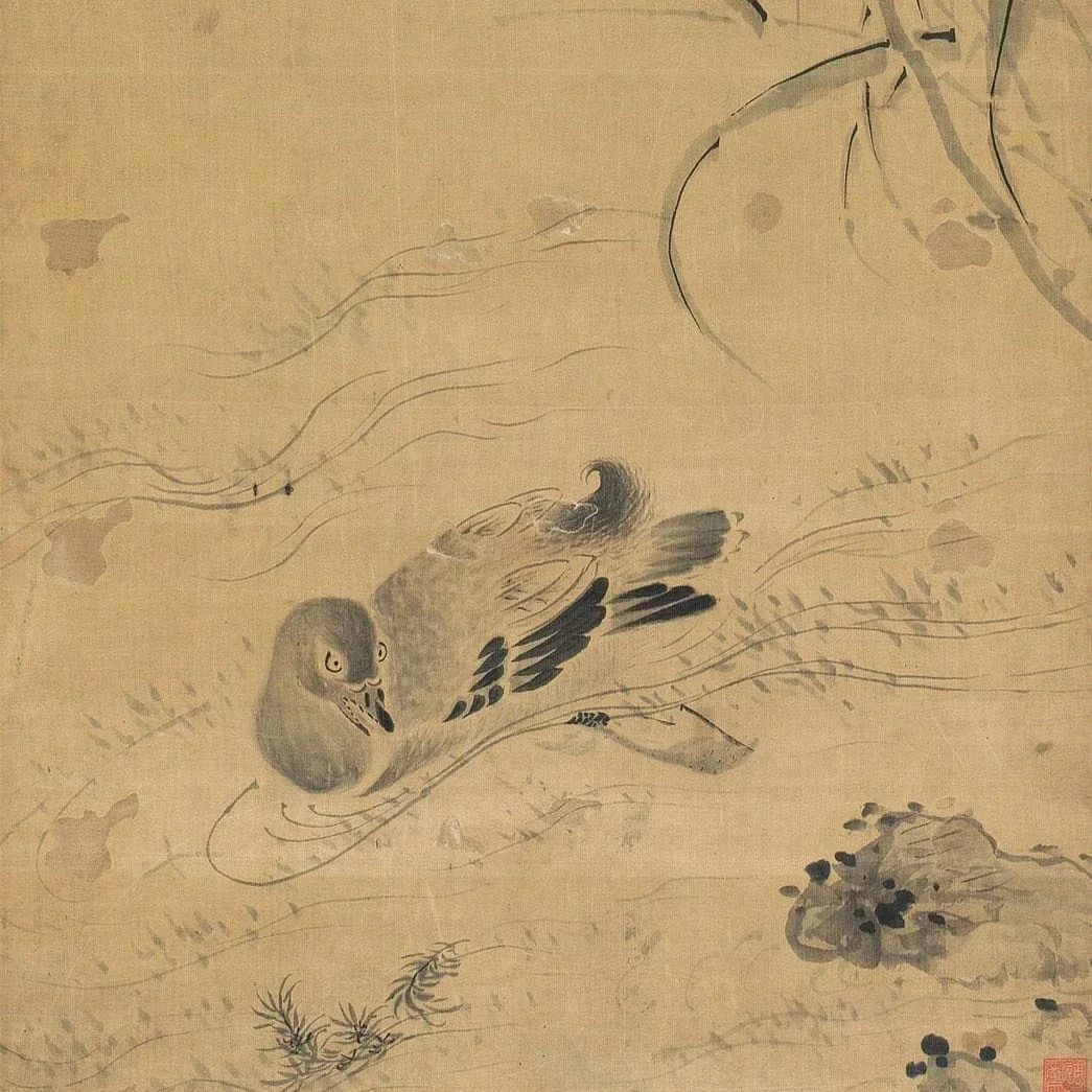 品画｜陈淳的写意花鸟