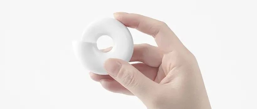 nautilus paper-knife