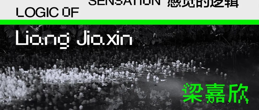 梁嘉欣：漂浮在幻觉中，创作的一种状态