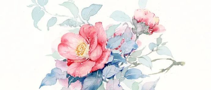 清新水彩花卉二妃M绘画作品欣赏