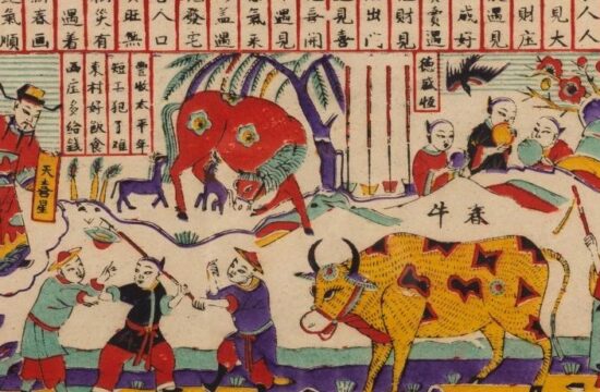 年画、美食、小兔子，这些博物馆给您拜个早年！