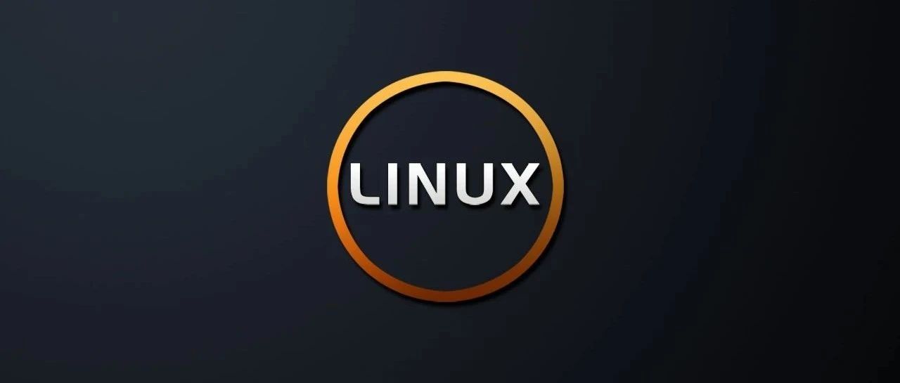 算法工程师的基本修养：Linux 最常用命令，解决 95% 以上的问题