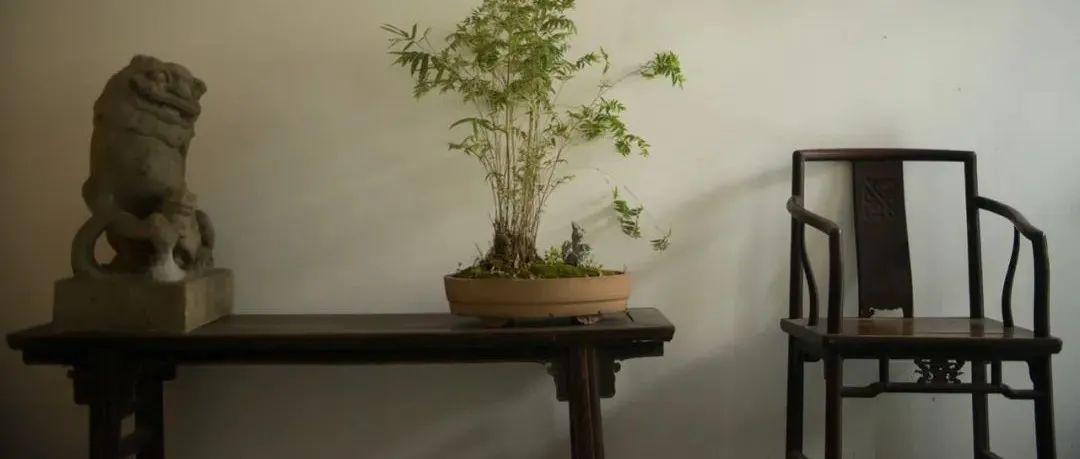 陈设有法，居室生雅。
