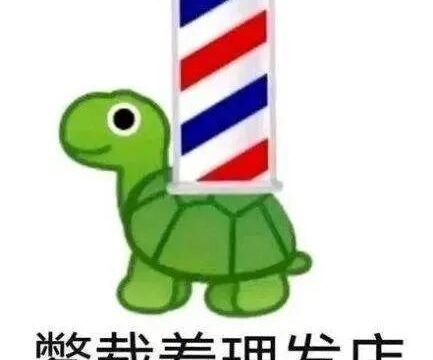 脱裤衩的互联网发癫文学，给62岁的影后整不会了……