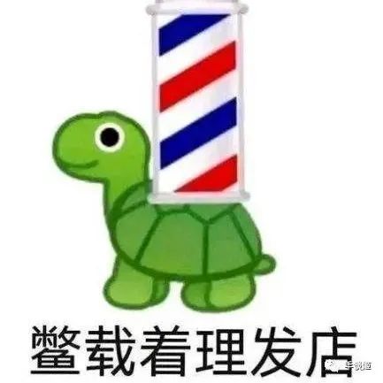 脱裤衩的互联网发癫文学，给62岁的影后整不会了……