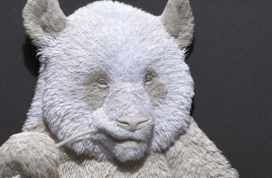 卡尔文-尼克尔斯精心制作的纸雕作品中的狂野个性