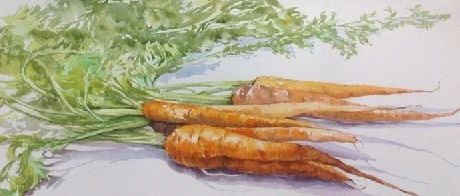 水彩写生   Акварель绘画作品