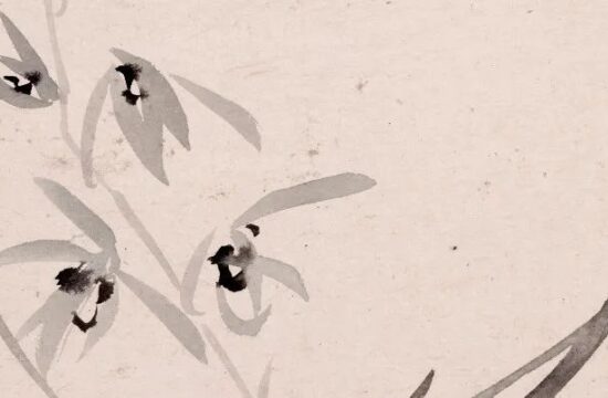陈撰