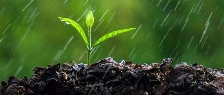 2月87款版号发放：腾讯网易灵犀心动中手游在列，王者、梦幻衍生游戏过审