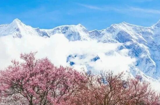 【柒摄影-官方团】3月22日西藏穿越冬春13天深度摄影团