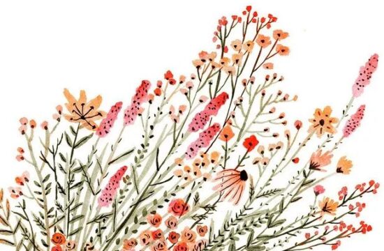 清新水彩花束Vikki Chu绘画作品欣赏