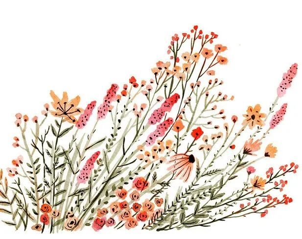 清新水彩花束Vikki Chu绘画作品欣赏