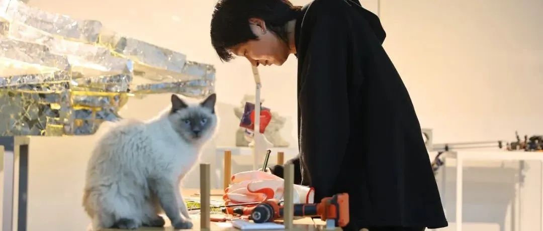 抱猫创作｜华成：我喜欢光穿越缝隙的感觉