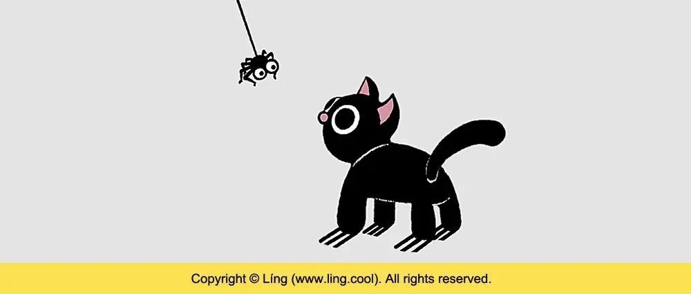 小猫咪
