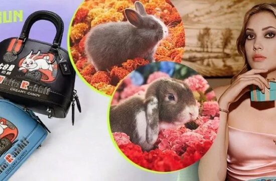 花5000块买了一只兔子包，但我一点都不后悔 | 新年系列