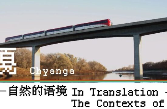 琴嘎：荒诞感飘在水面上，不易被察觉