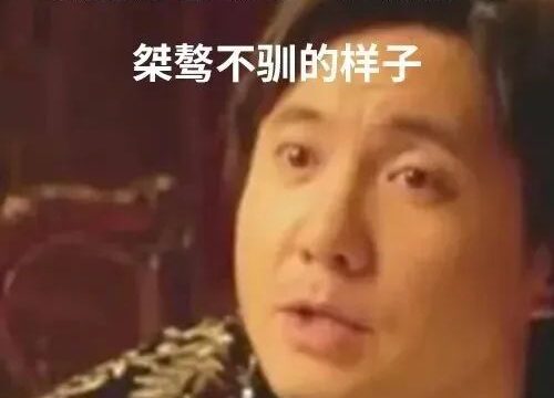 lsp游戏开发商马头社向中国玩家道歉，并希望国人能帮忙翻译