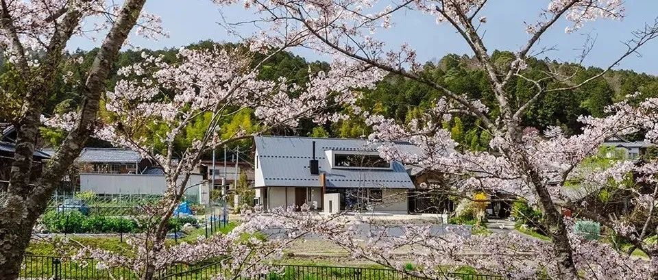 为赏樱花而建的住宅
