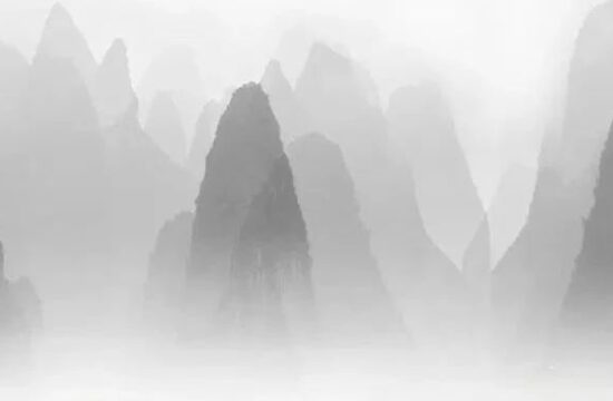 2022国际摄影沙龙作品欣赏