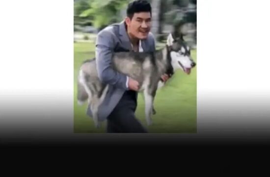 嘎子不卖酒，跑鬼畜区偷狗了？