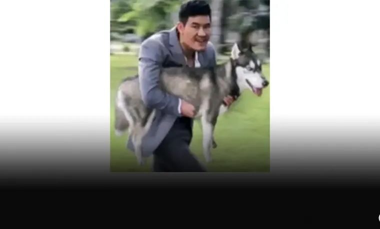 嘎子不卖酒，跑鬼畜区偷狗了？