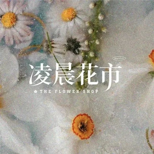 凌晨花市品牌设计，黑暗中的花也照样美丽！