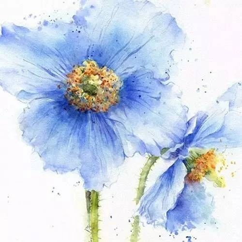 水彩和花卉就是天生一对