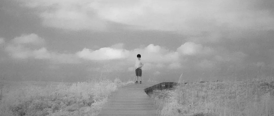 Toshiya Watanabe ：不在此处