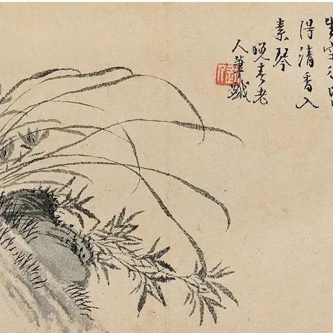 国潮文化 | 国画家汪士慎画作欣赏~