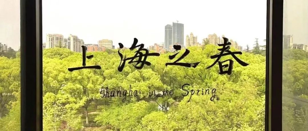 艺术家孙逊把上海封控酒店的房间给画了